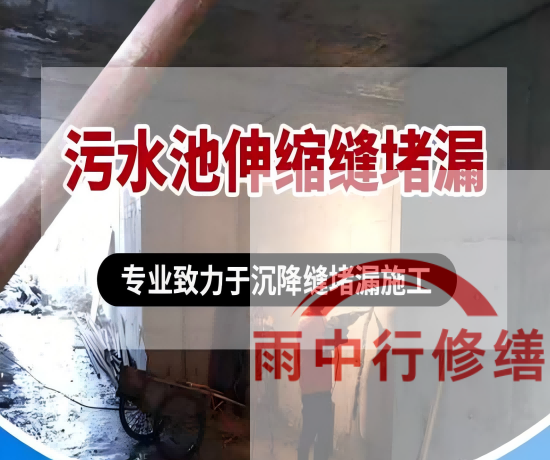 宁德2026年高分子防水卷材成高端市场主流，光伏屋面需求爆发